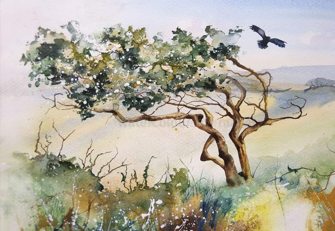 Elidanza's tweet photo. I do love trees and am especially drawn to the old mishapen ones - 

Happy Sunday x

#watercolour #watercolourpainting #trees #birds #landscape #Dartmoor #Devon #Autumn #treeshapes #painting #countryside #TreeOfTheDay #colours #painting #artist #art #ArtistOnTwitter #paint https://t.co/LW9v8CQt9i