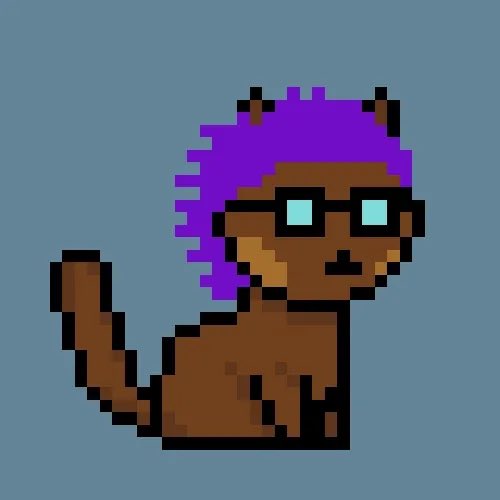 PunkCats tweet media