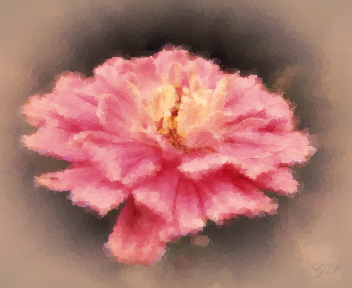 naturephoto_gp's tweet photo. Pink flower
#PhotographyIsArt #Creative https://t.co/iahKuVcoMU