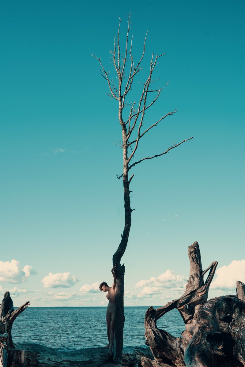 Alina B | SR tweet media