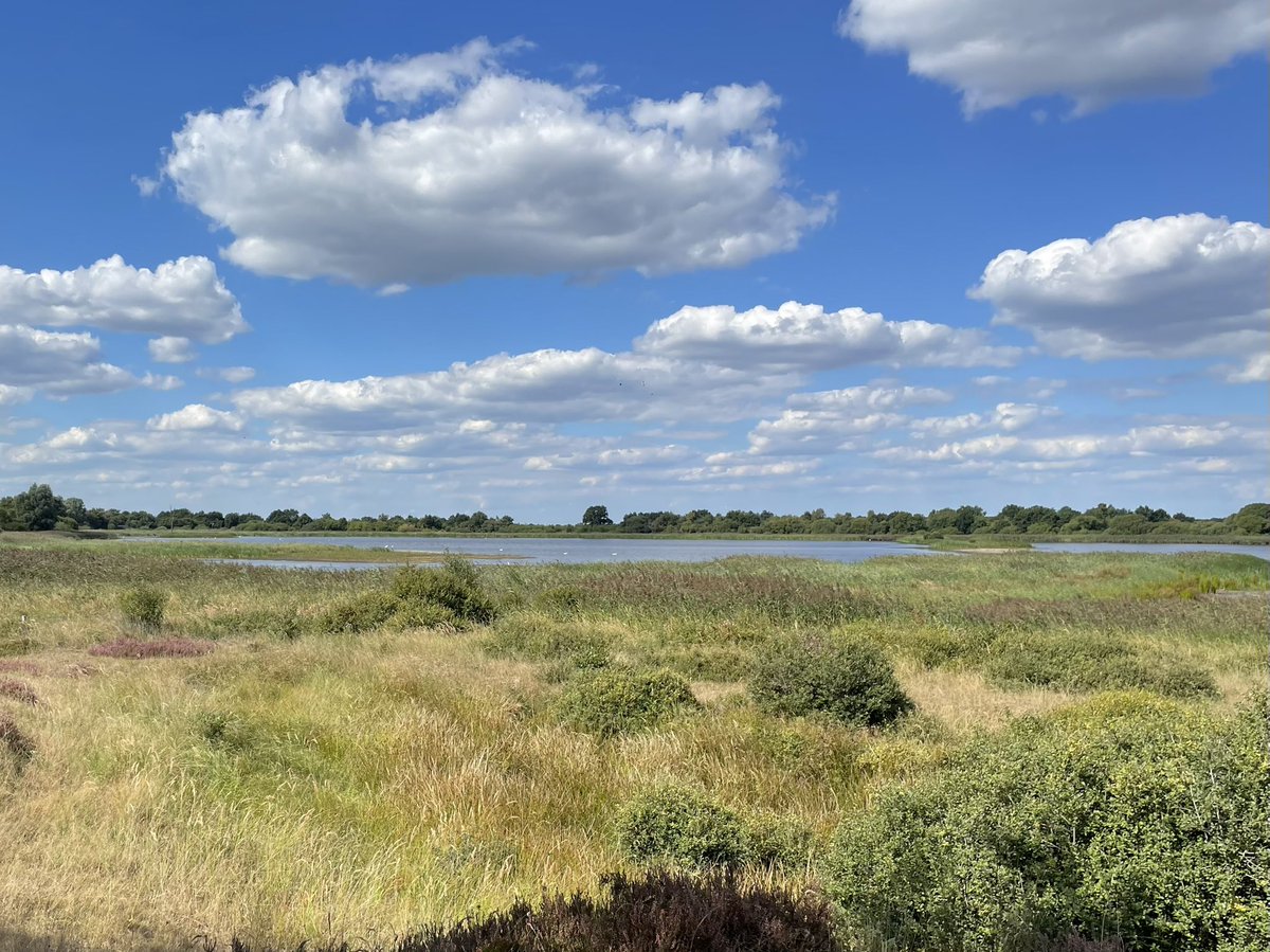 Groenehartstoc1's tweet photo. Na het sluiten van de aardappelmeelfabriek #Oranje in 1980 is dit vloeiveldensysteem omgevormd tot het #Vogelreservaat #Diependal. In he let waterrijke gebied leven veel bijzondere moeras- en watervogels, maar hebben veel te lijden onder de droge zomers. #Hijken https://t.co/egtaIOwSJJ