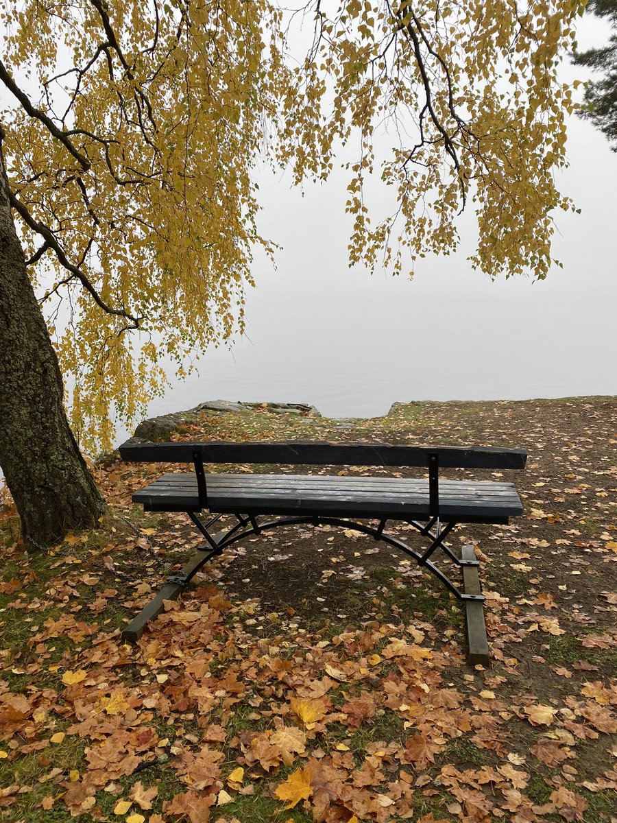 PirjoP1's tweet photo. Syksyn värit sumuisessa järvimaisemassa. 
#syksynvärit #pirkkala https://t.co/4xvYeX7bi5