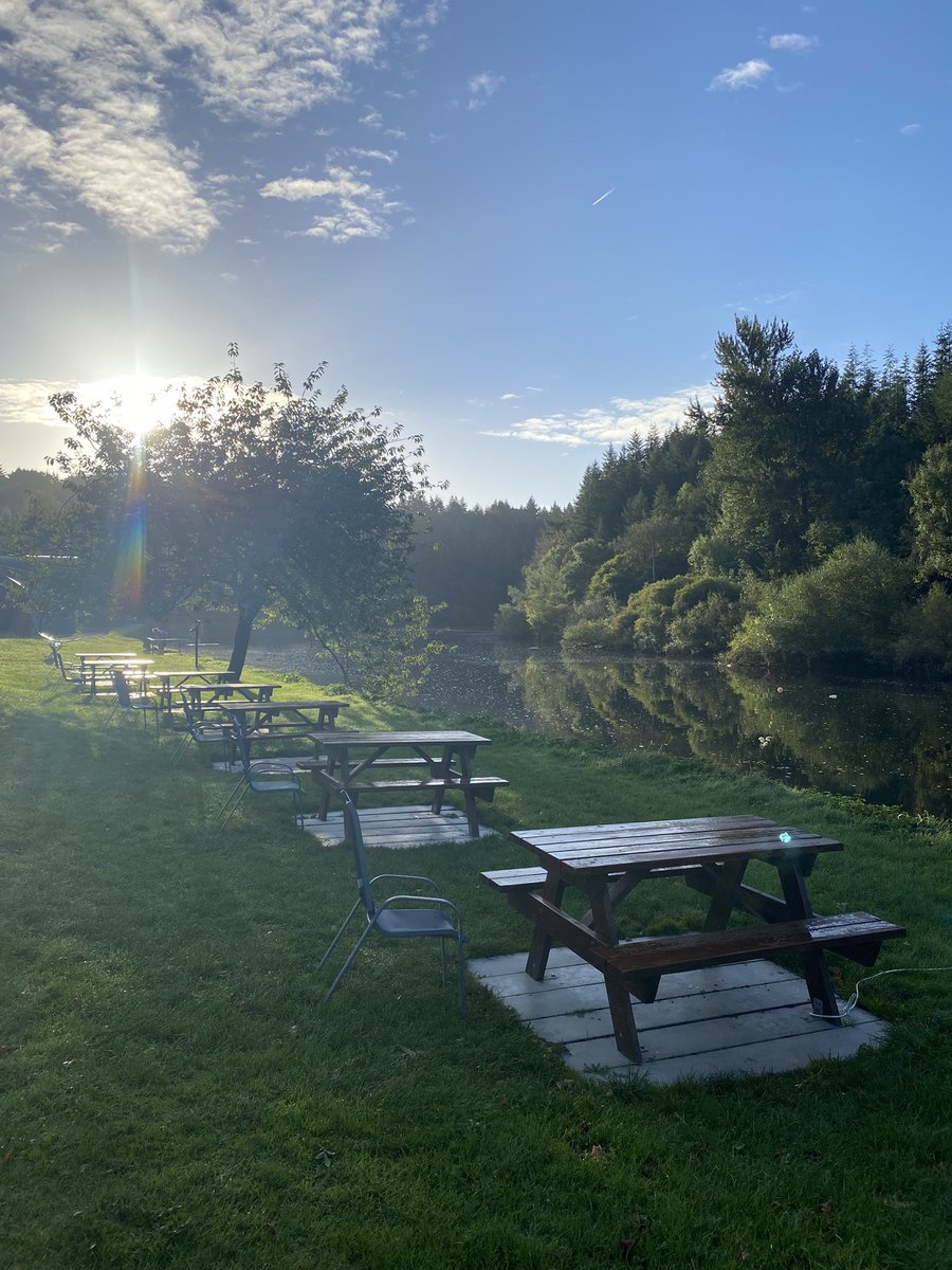 Dalkey Rowing Club tweet media