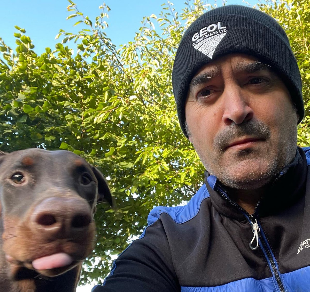 Supernezzmac's tweet photo. Go on then stick ya tongue out for me Daphne👅😜 @LimitedGeol 🧢

#SundayMorning #morningmotivation #dogs #DogsofTwittter #Doberman #doberman #dobermaninfinity #dogslife #geolconsultants https://t.co/Rpc602fTES
