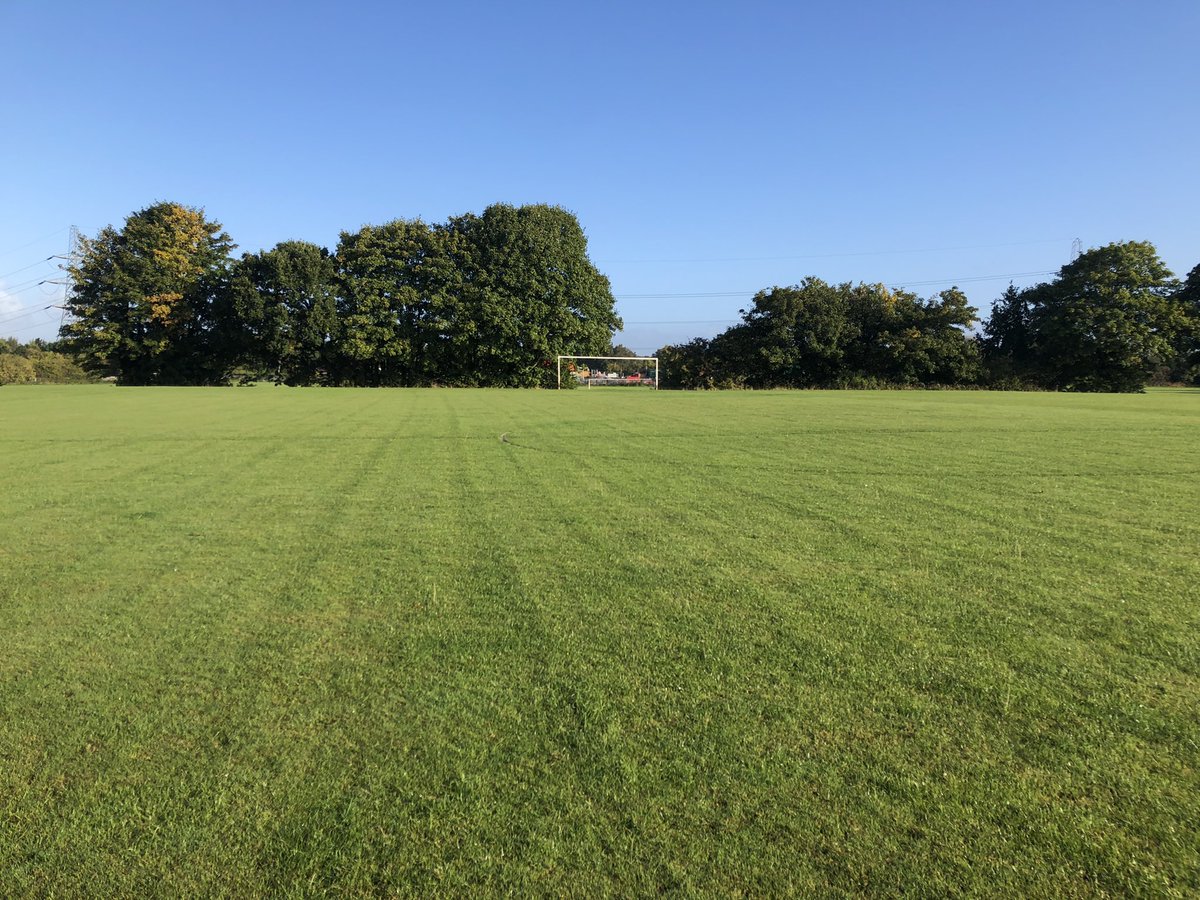 The pitch is like a carpet on this fine summer’s morning.