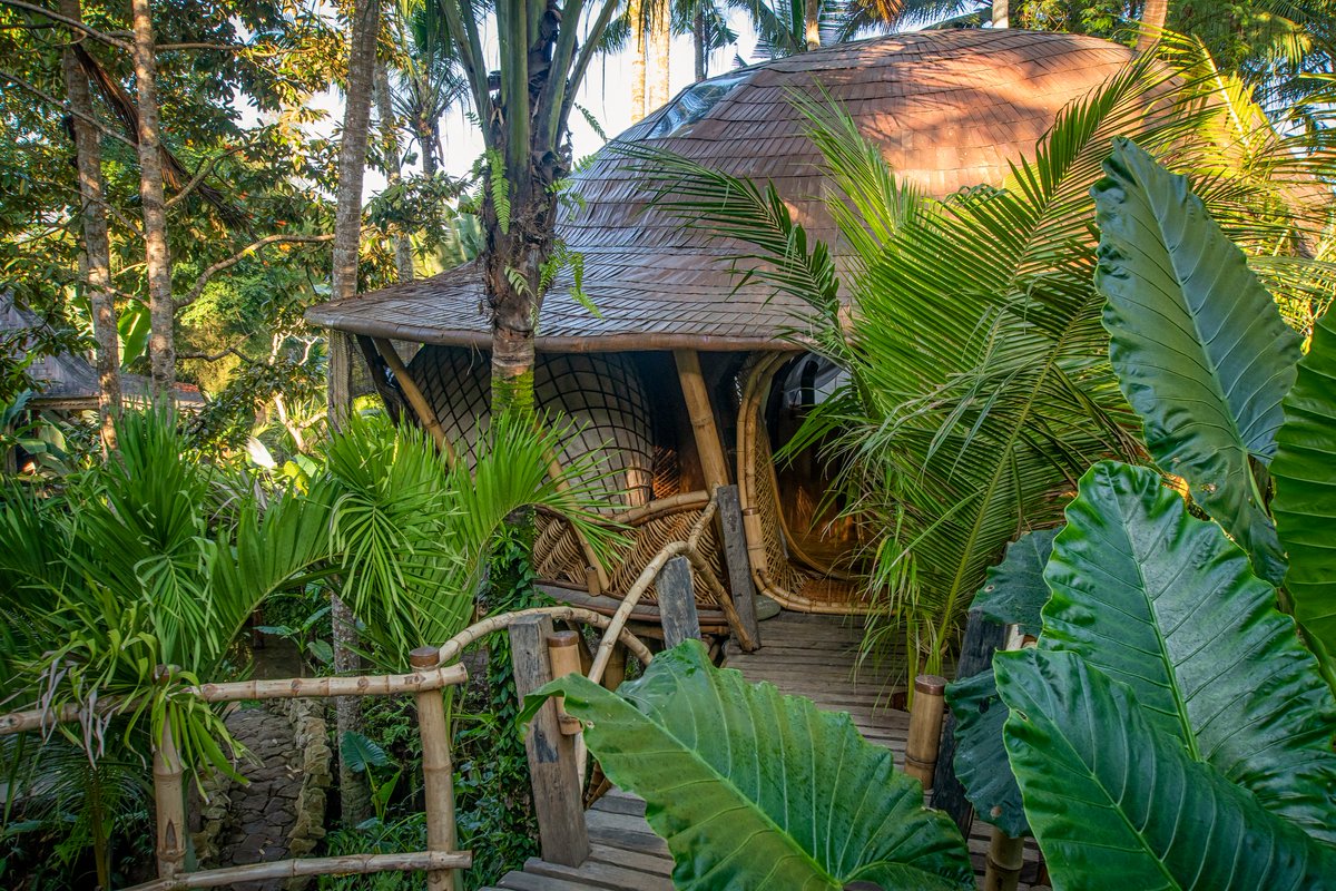 PabloLunaStudi1's tweet photo. Treehouse in the middle of the jungle 🌴
.
.
.
#nature #bamboo #bambooconstructions #bambooartists #architecture #pablolunastudio #architect #organic #greenbeauty #bambooindonesia #yogashala https://t.co/p8N25uvR6K