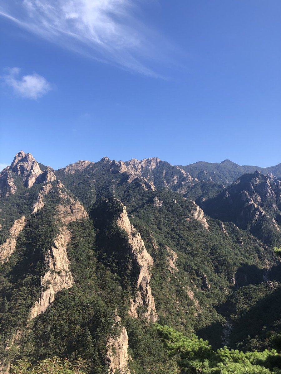 danieladurang6's tweet photo. Bye 🇰🇷🥢! After two amazing weeks, I leave feeling grateful. At the #7IMDC, I got to meet amazing people, learn a lot, and inform and recharge my political activism. Afterwards, I got some cool vacations to meet and connect with an amazing culture. Back to reality now 🙌🏽. https://t.co/2Kc6bqsomr