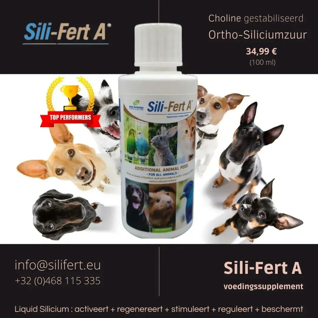 robinseveri's tweet photo. ๐
Speciaal Silicium #voedingssupplement ๐งซ voor HONDEN ๐ถ๐๐ฆฎ๐โ๐ฆบ๐ฉ
๐ Sili-Fert A is #Choline gestabiliseerd #Orthosiliciumzuur @ 2,8%
.
#harderbetterfasterstronger
.
๐ spijsvertering
.
๐ฆฎ Sterkere botten en pezen
.
๐ถ Algemeen goed gestel
.
https://t.co/u2C5bN9uiR
.
#siliferta https://t.co/z8RudrAv9P