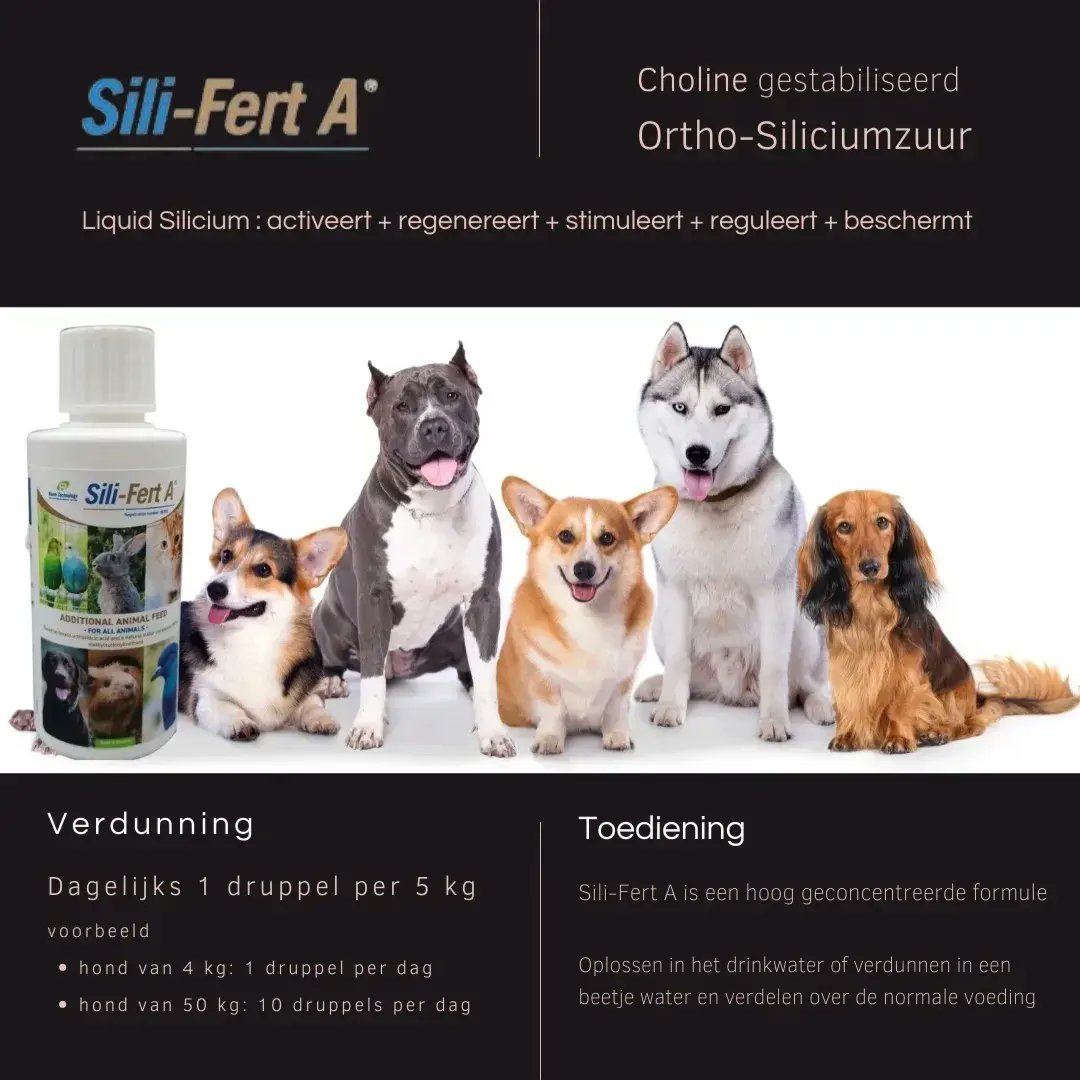 robinseveri's tweet photo. ๐
Speciaal Silicium #voedingssupplement ๐งซ voor HONDEN ๐ถ๐๐ฆฎ๐โ๐ฆบ๐ฉ
๐ Sili-Fert A is #Choline gestabiliseerd #Orthosiliciumzuur @ 2,8%
.
#harderbetterfasterstronger
.
๐ spijsvertering
.
๐ฆฎ Sterkere botten en pezen
.
๐ถ Algemeen goed gestel
.
https://t.co/u2C5bN9uiR
.
#siliferta https://t.co/z8RudrAv9P