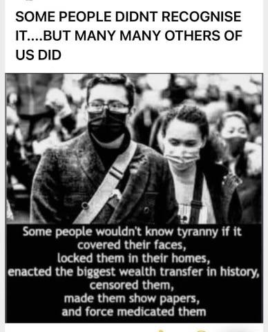 Malcolm Roberts 🇦🇺 tweet media