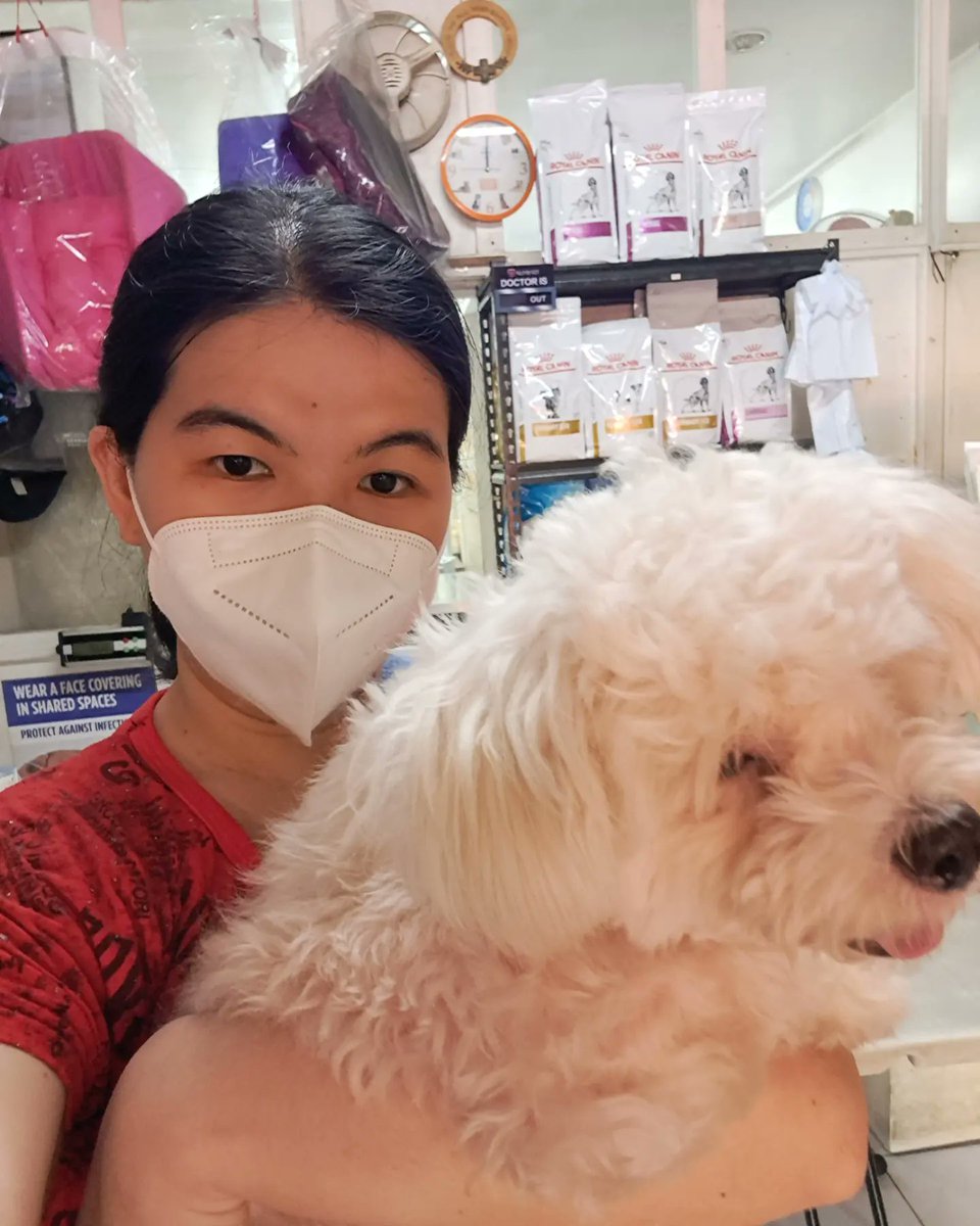xandz34's tweet photo. Bonding Vibes... ๐ ๐ท ๐ ๐
P.s. Make sure your pets are vaccinated for prevention ๐
#selfie #selfiewithdog #dog #dogs #dogselfie #doginfluencer #vaccination #vaccinated #maskselfie #veterinarian
๐ท (2 photos) https://t.co/a5ULpp6GWI