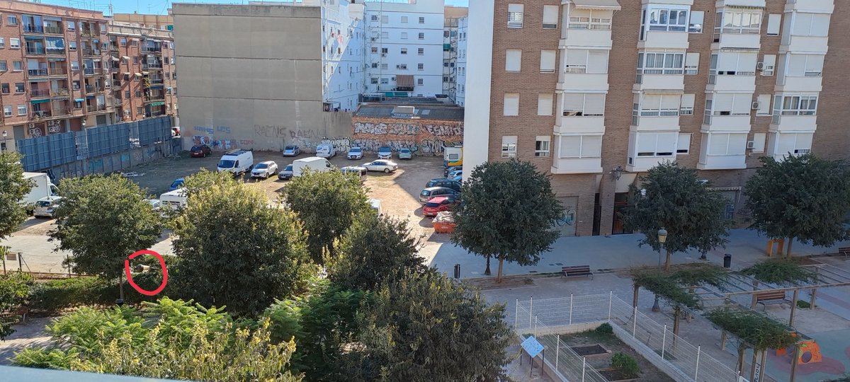 Piusi10's tweet photo. Un camión saliendo de un aparcamiento ilegal acaba de derribar una farola de la zona peatonal que está situada junto al parque infantil inclusivo de la calle Navarro Cabanes(Nou Moles).La farola ha caído dentro del parque de perros.El @AjuntamentVLC  sigue mirando hacia otro lado https://t.co/N7DIGoVWCi