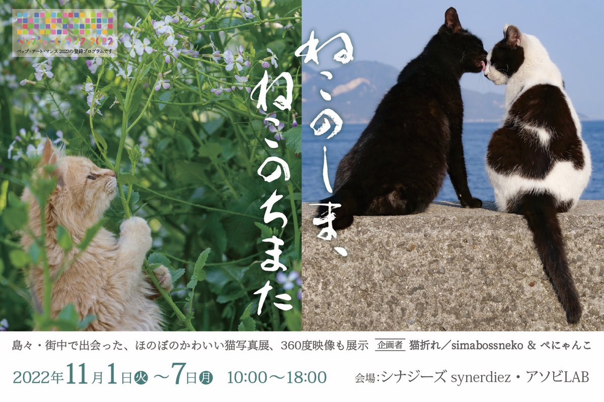 simabossneko's tweet photo. ★お知らせ
大分県別府市で「ねこのしま、ねこのちまた」写真展を開催します。

期間：2022年11月1日(火)～7日(月) 10:00～18:00
場所：シナジーズ ・ アソビLAB

詳細は
https://t.co/O6pFQm2MFY

※この写真展はベップ・アート・マンス 2022の登録プログラムです。
#ねこ写真展 #beppuartmonth https://t.co/3YzP0UltQC