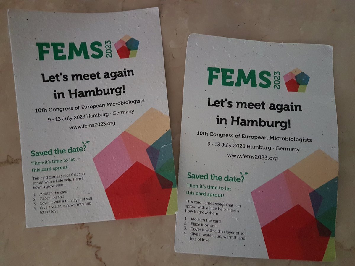 LabPuhar's tweet photo. The plants from the flyers picked up at #FCOM22 for the @FEMSmicro Congress 2023 in Hamburg have grown (yield from 2 participants)! Any help with species identification? 1 Arabidopsis, 1 grassy intruder (?), and...? https://t.co/7QGBdRwzX9