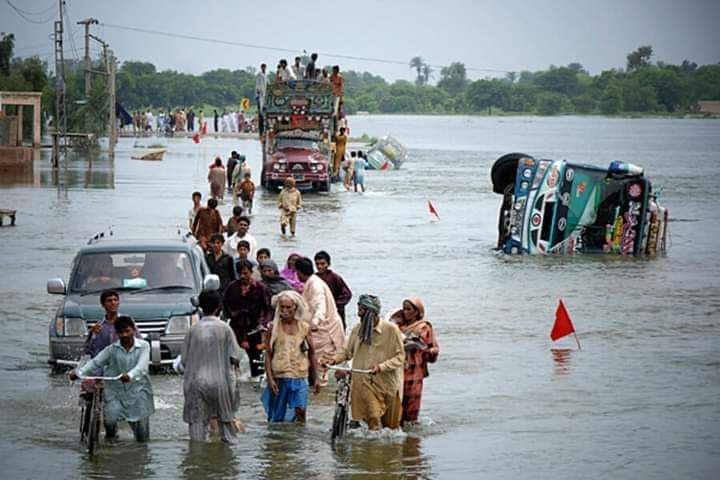 SA57Charo's tweet photo. We strongly appeal to the government of Sindh to immediately drain the rainwater from all of Sindh, including KN Shah, and give new houses and one year's worth of food to the poor people.
#RehabilitateKnshah https://t.co/LdDxpKjGJf