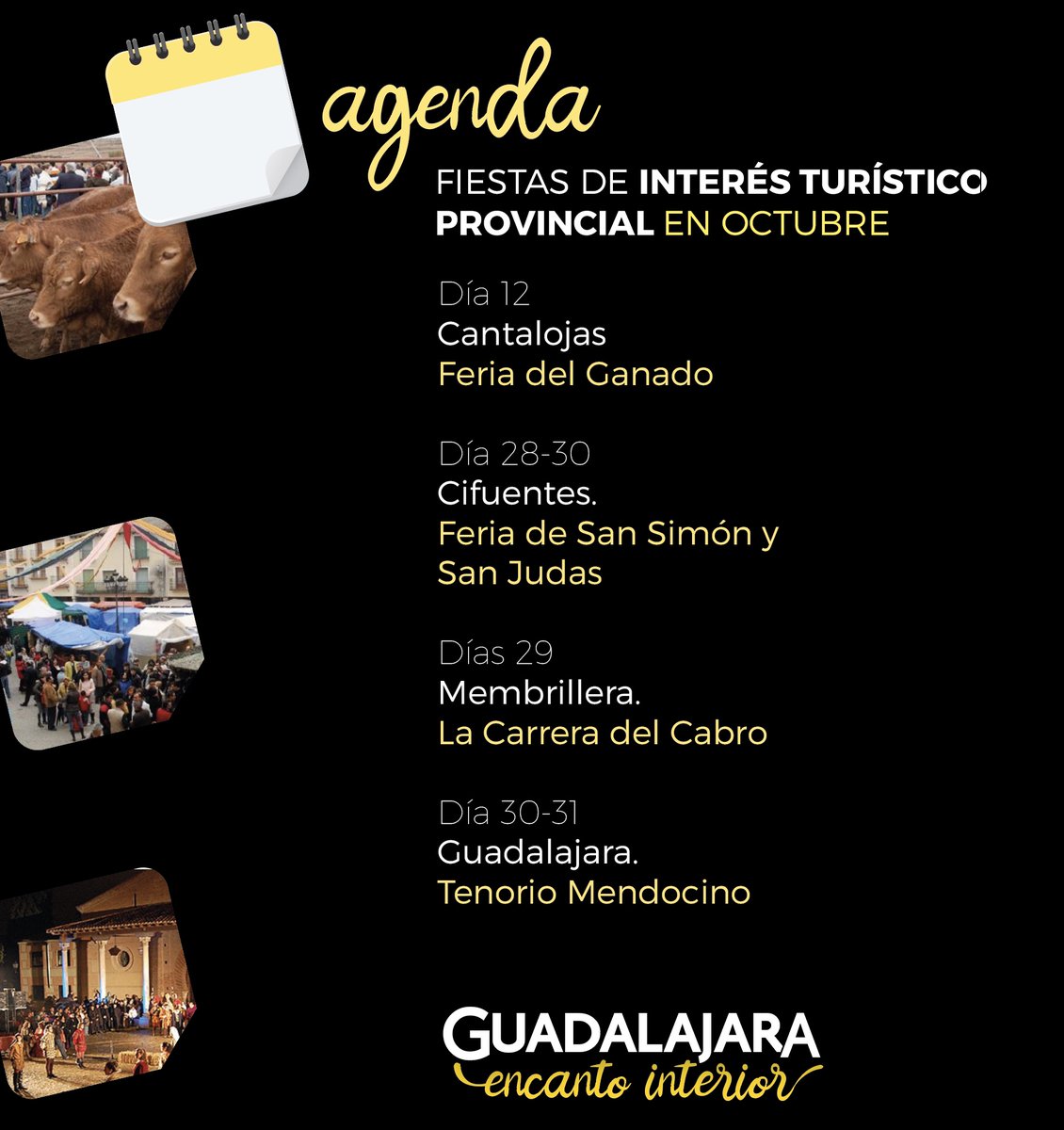 turismoengu's tweet photo. 🗓 Este mes de octubre nuestra provincia ofrece citas con cultura de primera, ferias tradicionales con ganado y costumbres populares.

Consulta la agenda de las fiestas de interés turístico provincial en Guadalajara. https://t.co/4cfAZncdtG
