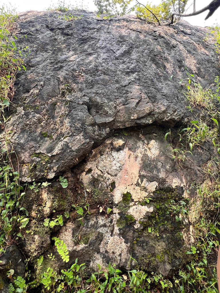 swati_pandey27's tweet photo. The earth unfolds its ancient story from its coy green vesture only to the seeker. A day spent measuring the strike&amp;dip of the slikensides of Western fault plane of Elephanta formed due to  volcanic activity,a canvas painted about 65million years ago!
#justrockit 
#deccantrap https://t.co/MdevnxLxnL