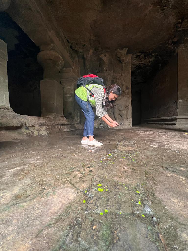 swati_pandey27's tweet photo. The earth unfolds its ancient story from its coy green vesture only to the seeker. A day spent measuring the strike&amp;dip of the slikensides of Western fault plane of Elephanta formed due to  volcanic activity,a canvas painted about 65million years ago!
#justrockit 
#deccantrap https://t.co/MdevnxLxnL