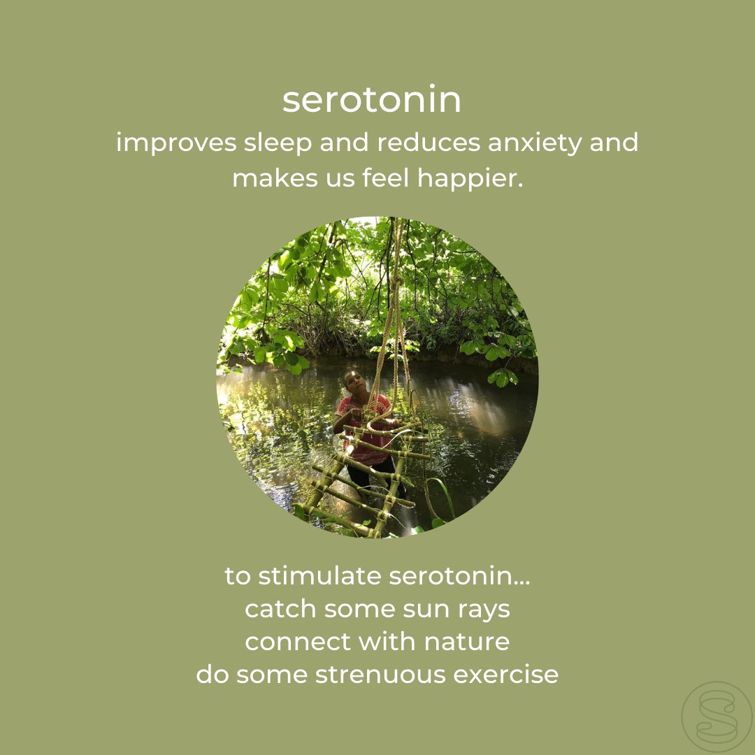 soul_stretch's tweet photo. Serotonin is a naturally occurring chemical in our bodies which plays a key role in regulating our mood, sleep, digestion, nausea, wound healing, bone health, blood clotting and sexual desire.  #biohacks #serotonin #wellbeing #sleephygiene #nature #libido https://t.co/alrtbt9FPV
