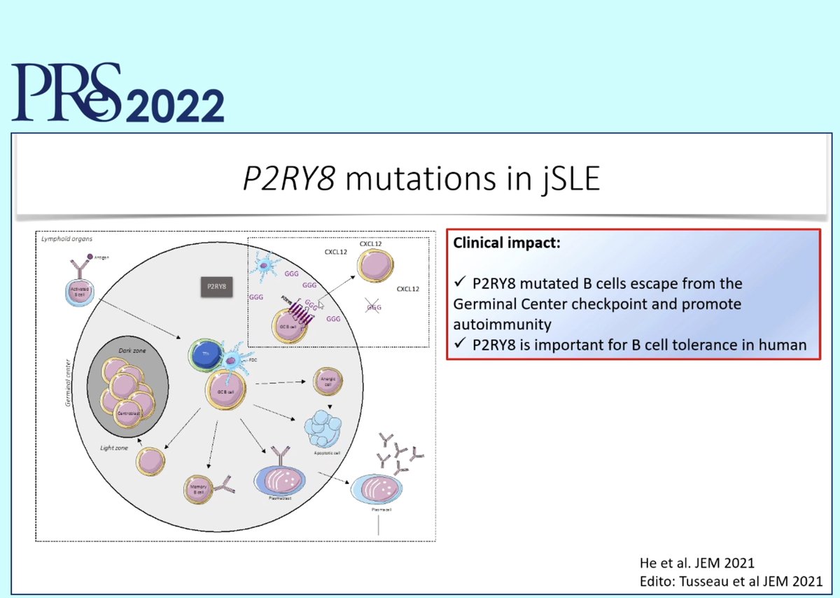 debasispatro9's tweet photo. #PReS2022 #monogenic #lupus @LupusAcademy
1. SAT1 LOF - X linked
2. TLR7 GOF
3. P2RY8
#cSLE #JSLE https://t.co/JChB34ceda