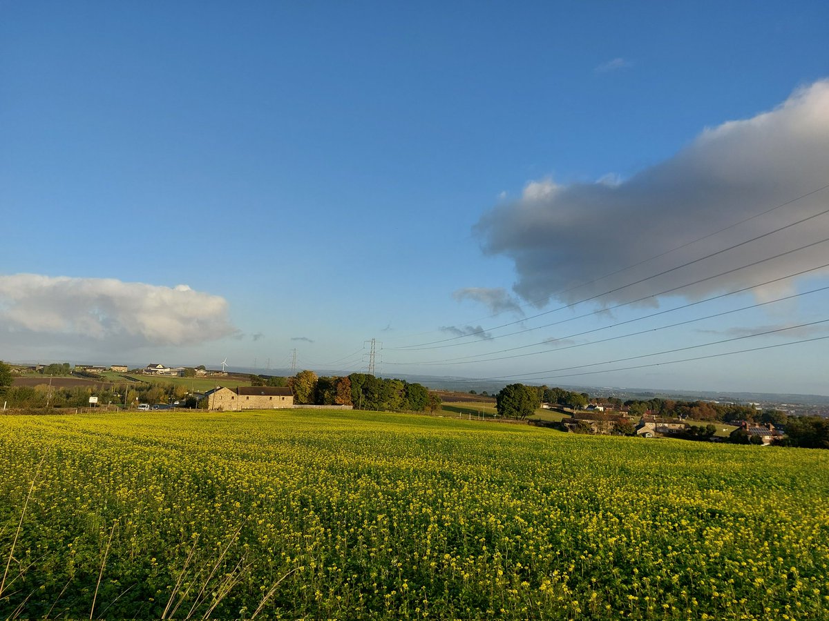 emmelinewd19's tweet image. 8 Mile Run! Lovely and fresh out ☀️ Now to watch London Marathon! Good luck to everyone racing 🤩 #running #runhappy @UKRunChat