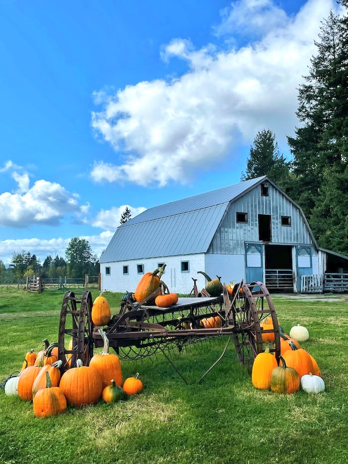 vassellia_bond's tweet photo. 🌞 Happy  October 🌿🎃🍀 https://t.co/9WUCpyXkSL