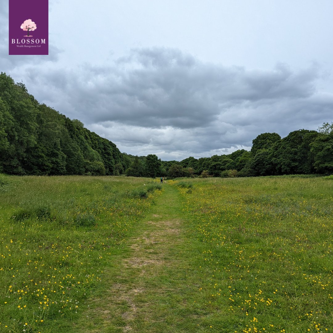 blossomwealth's tweet photo. A Sunday well spent brings a week of content 🚶

#Blossomwealth #Sunday #Financialplanning https://t.co/kZYr9cXABS