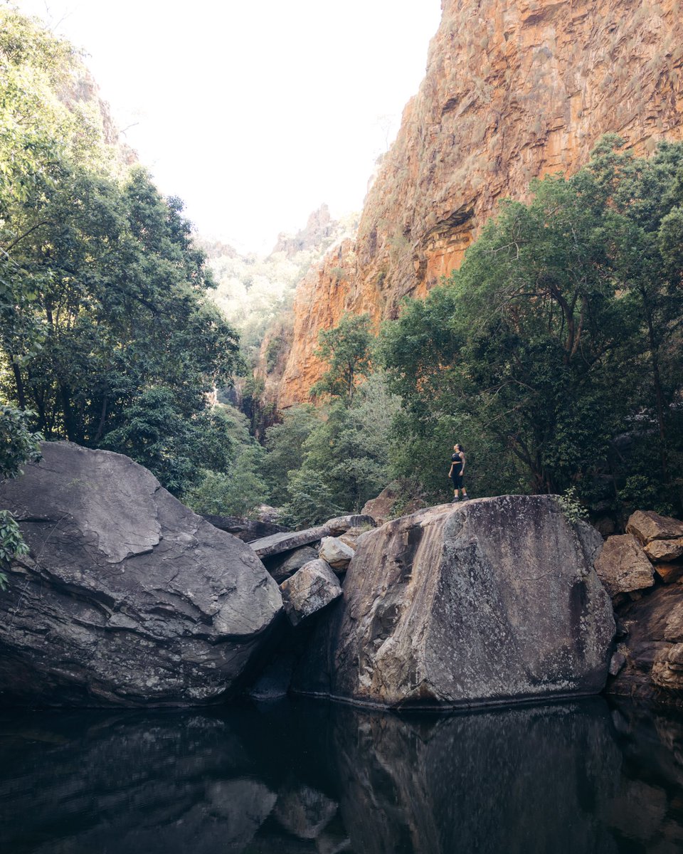 Harry Pope tweet media