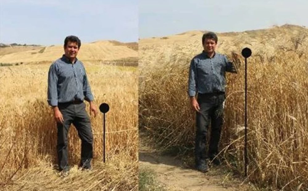 Adriano Farano tweet media