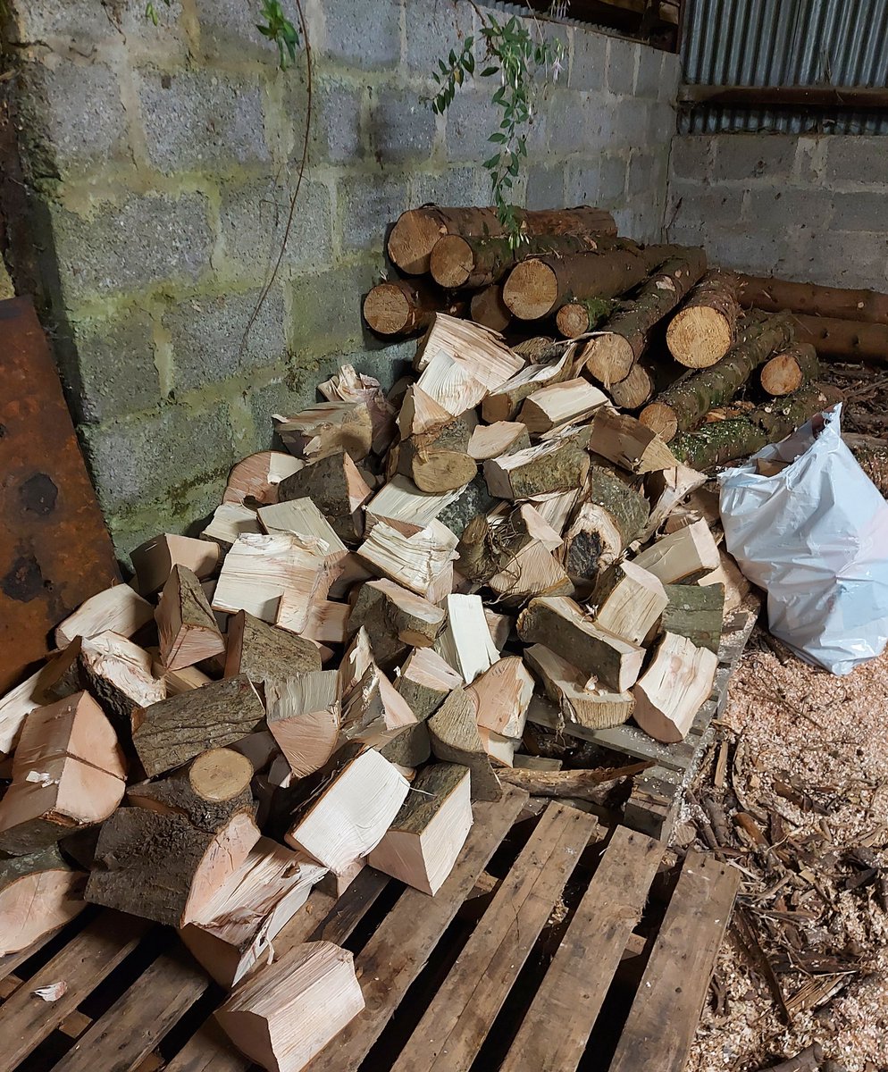 Tree_Lads tweet picture