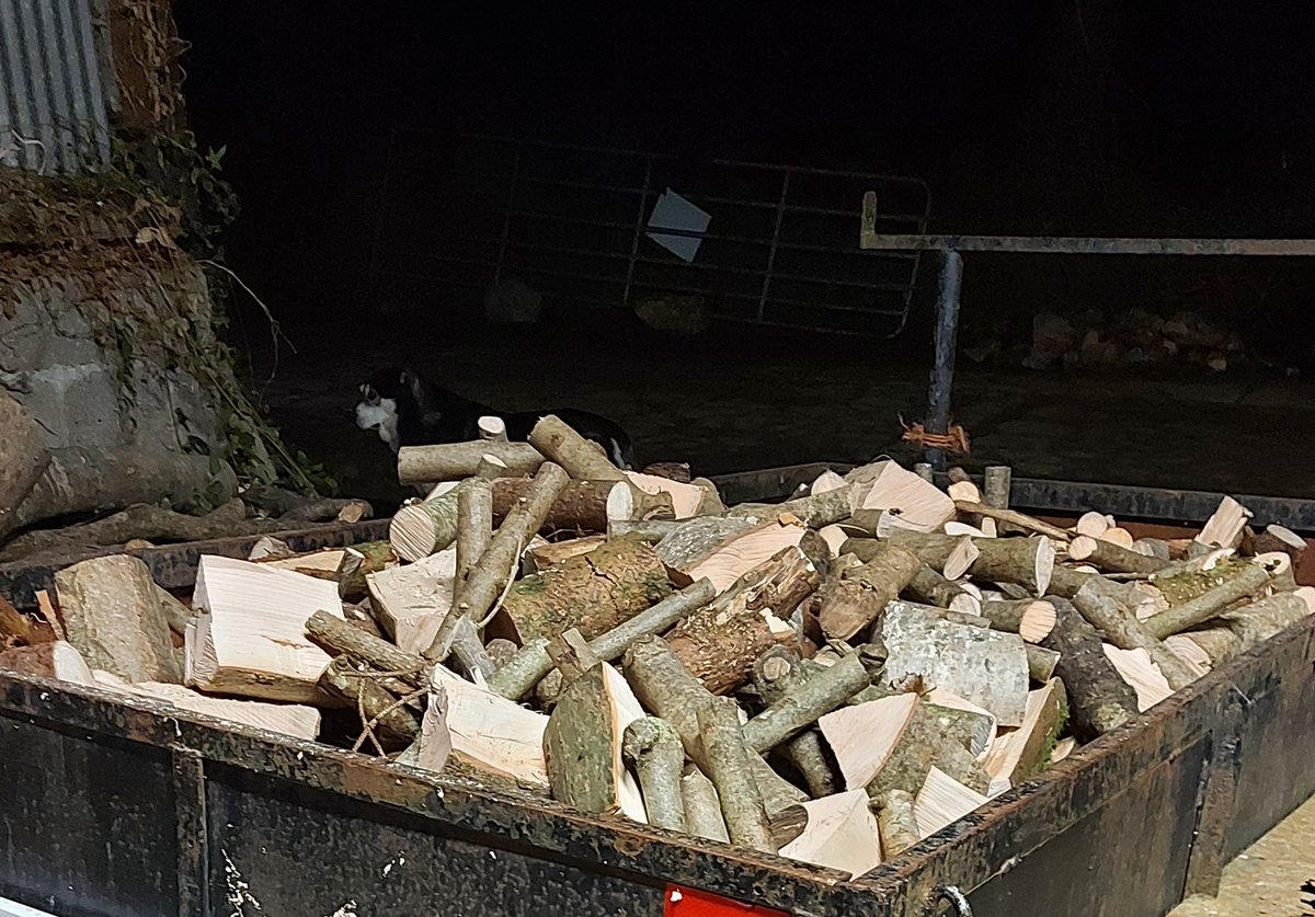 Tree_Lads tweet picture