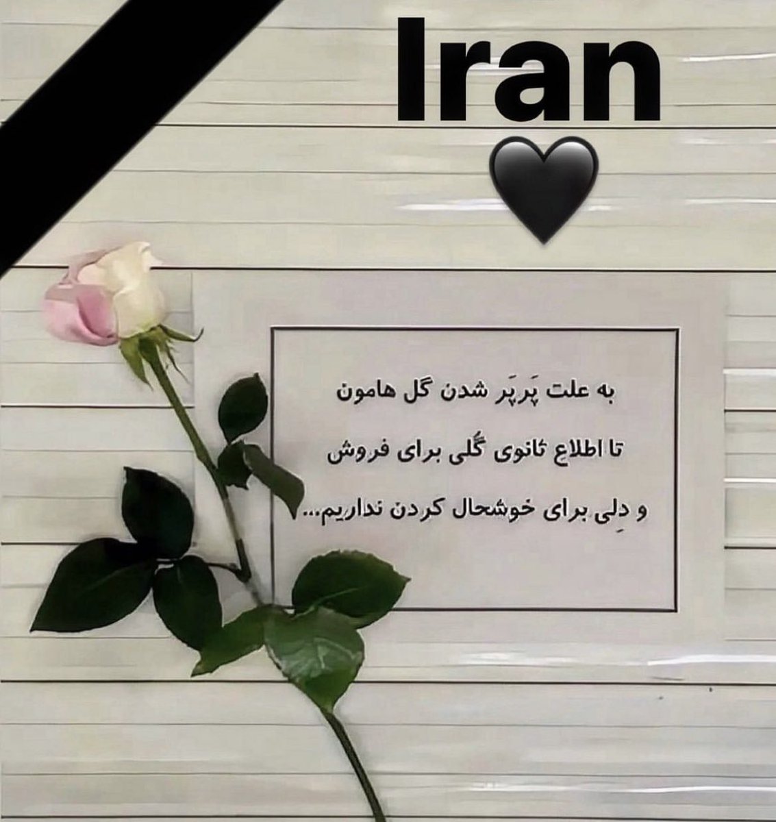 CulturalMag1's tweet photo. یک عدد آدم حسابی✌️🖤

#اعتصابات_سراسری #مهسا_امینی https://t.co/4BR4qIGMAY