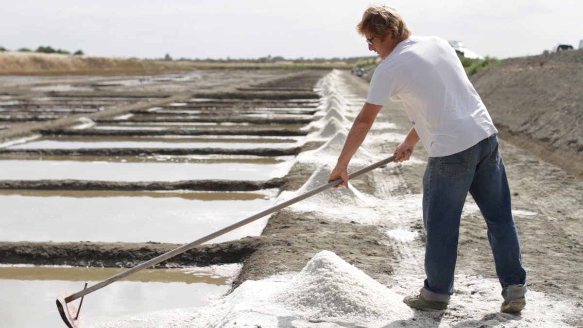 Adriano Farano tweet media