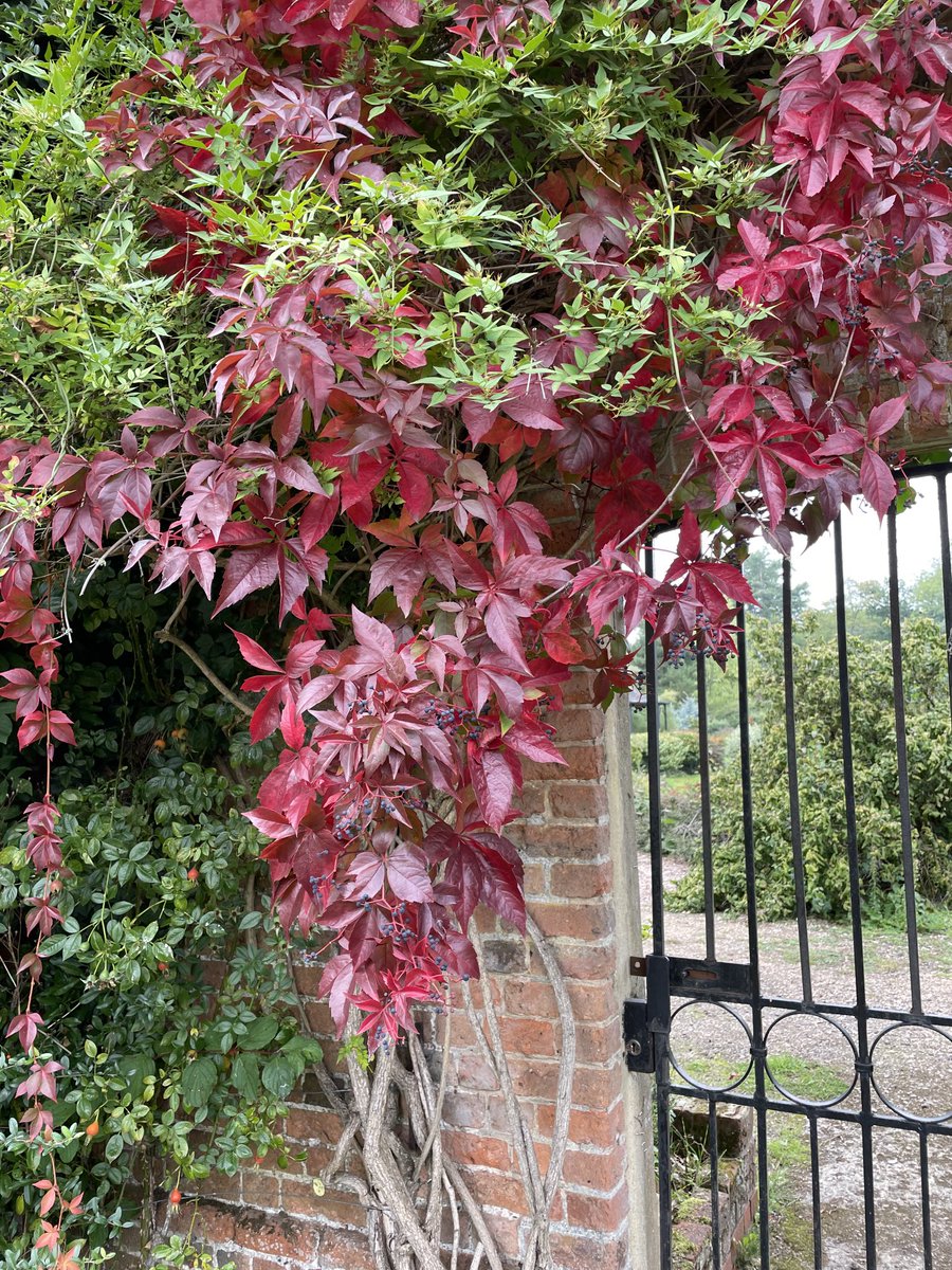 RochCraig1's tweet photo. What have you noticed and connected to today? #autumn #mindfullness #mentalhealthawareness https://t.co/wLAGuaazU1