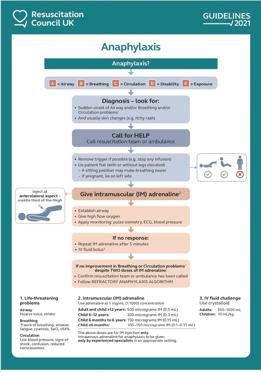 RECAT👩🏽⚕️🏥👨🏽⚕️🇲🇽🫀 tweet media
