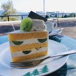 ツイートに含まれる画像