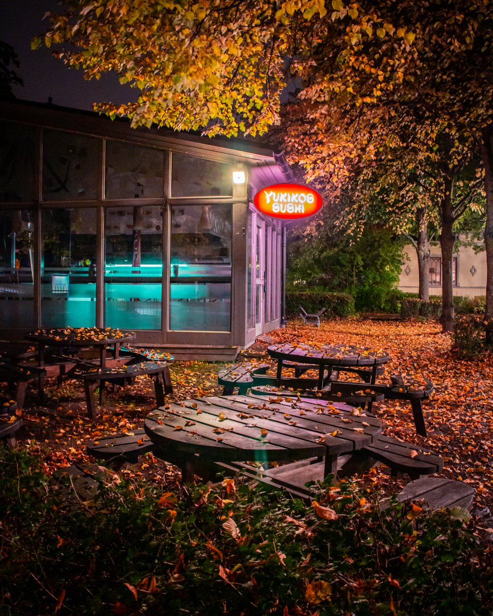 Zigmarillion tweet media