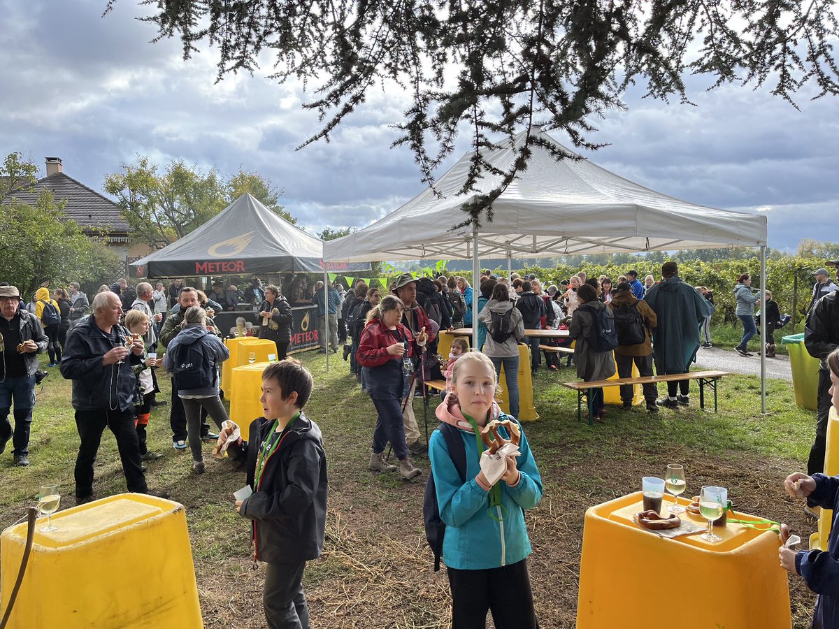 batt_associes's tweet photo. Marche gourmande pour le CSE #BATT à #sigolsheim : détente, convivialité et vins d’#Alsace https://t.co/8rmP9MdT2v