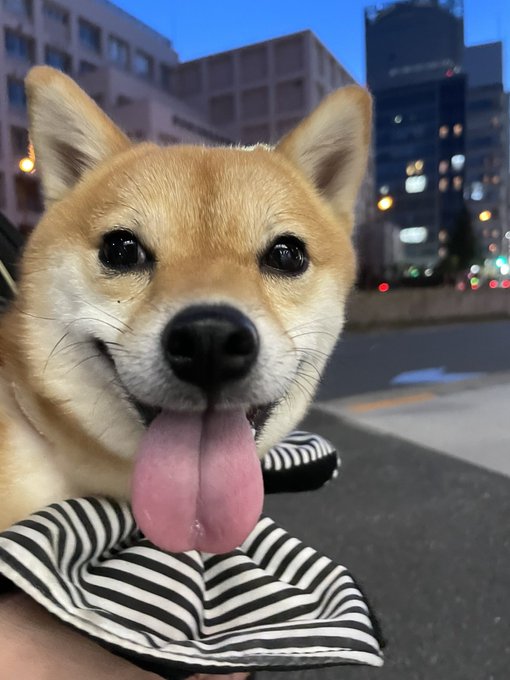 石上ひなののTwitter画像62