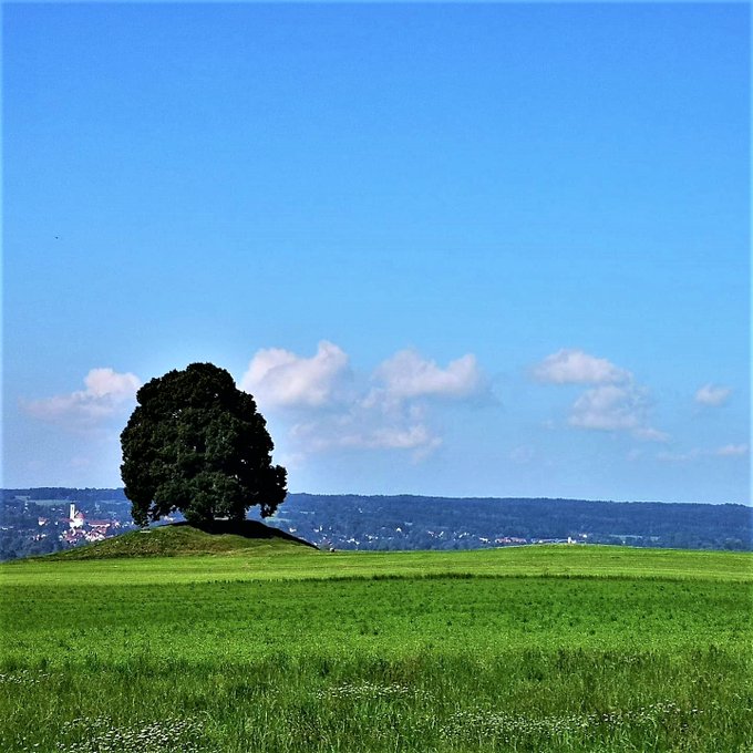 Greenisamissio1's tweet photo. Reflect, a small tree of only about 20 m in height produces about 10,000 l of oxygen/day. That is enough for 5 to 10 people, who each need 500 to 2,000 l of oxygen/day. Have a blessed rest of the day. ❤️💙💚🤗 https://t.co/6zHvz4vtHg