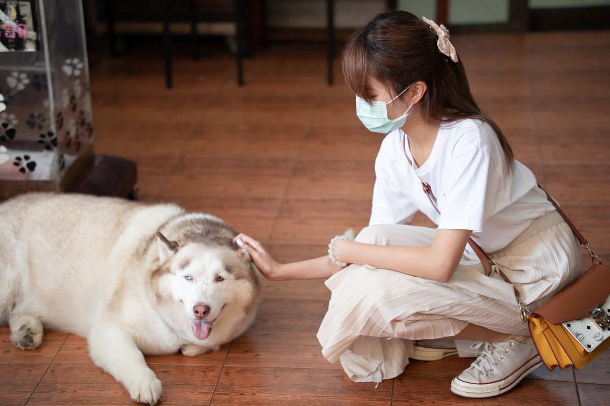OomsMoonLight's tweet photo. ขอบคุณผู้โดเนททุกท่านด้วย ที่ทำให้วันเกิดคุณอุ้มปีนี้เป็นปีที่ดีอีกปีหนึ่ง ขอให้ผลบุญอันนี้กลับคืนสู่ทุกท่าน สาธุ~🙏🐶🐱✨

รูปเพิ่มเติม https://t.co/dDxQvxIsn1

#NatchaOom
#SepNatchaMonth2022
#OomsMoonlightCastle https://t.co/q0pQcRr5AU