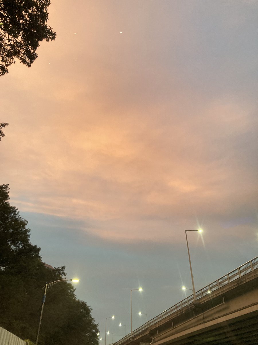 woojaeoh_artist's tweet photo. Moment of magic everyday.
wish you a lovely night.
@bug4what @Bug4city #bugcity #freedrop #urbansloth #sloth #nft #opensea https://t.co/GrqlZmgPB1