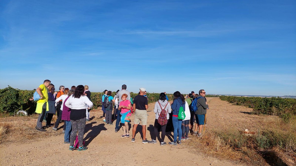 RutaVinoVerdejo's tweet photo. III Jornadas del Mosto en La Seca. Marcha senderista por el Camino de la Peña. Unimos actividad física, paisaje y patrimonio entre La Seca y Tordesillas. Primera parada con verdejitos de @lagiraldadecas1 de Matapozuelos https://t.co/rrhHOrADfZ