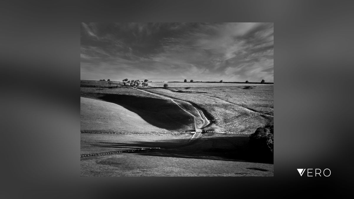 BobHolmanPhoto's tweet photo. Salisbury Plain, Wiltshire. Early morning. 

#Landscape #smartshots #blackandwhitephoto #blackandwhitephotography #blackandwhite #iamarebelmember #iso100community #raw_bnw #shotoniPhone #rebels_united #rebel_bnw #podium_mono #monoc… https://t.co/GaNASlWX8r https://t.co/3tWUh59YVS