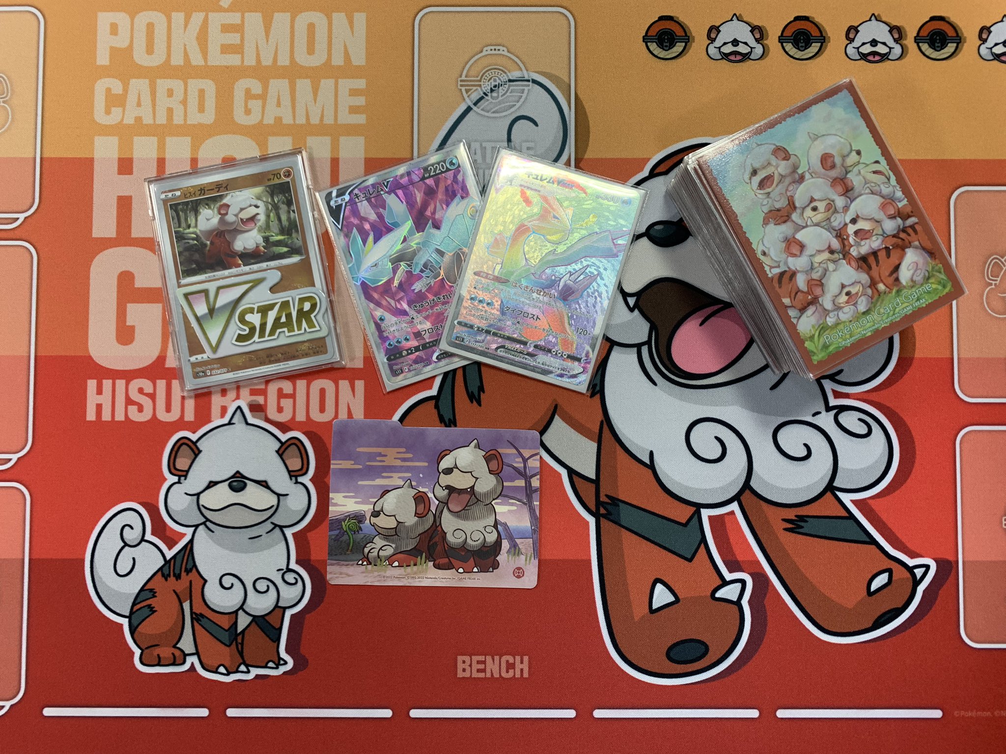 ゼンマイ Zenmai Pokemon Twitter