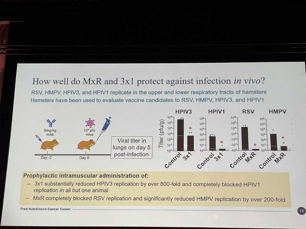 Can we use cross-neutralizing antibodies against respiratory viruses to protect immunocompromised patients during a period of vulnerability? Great talk from @JimBoonyaratana @rsv2022