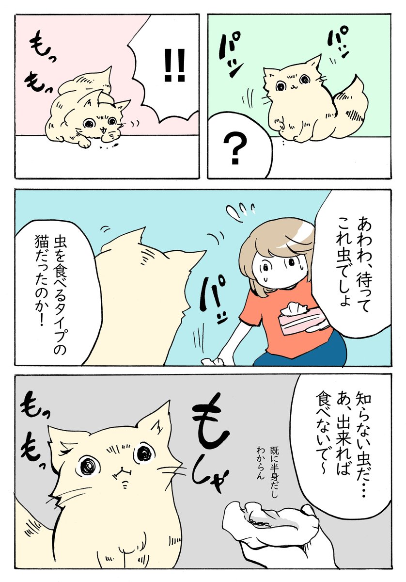 食べるタイプの猫
【日常㊱】https://t.co/X3XxEv662Q 
