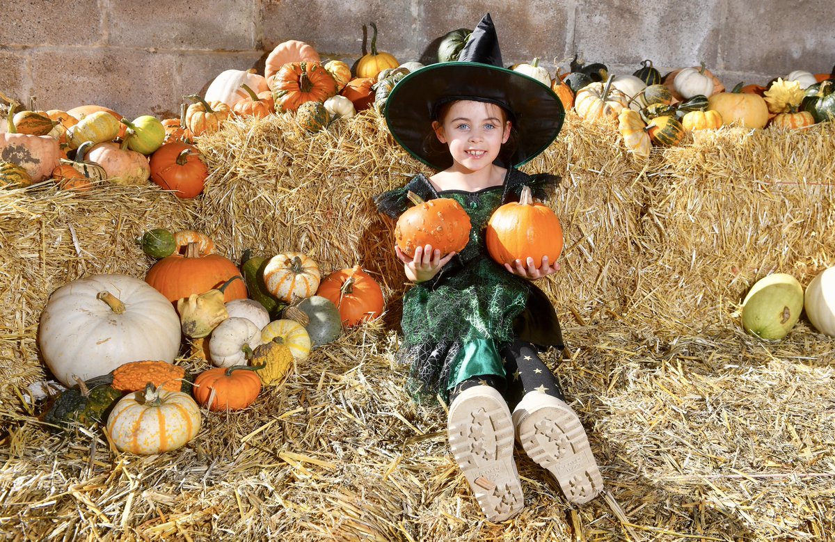 Alex Hannam tweet media