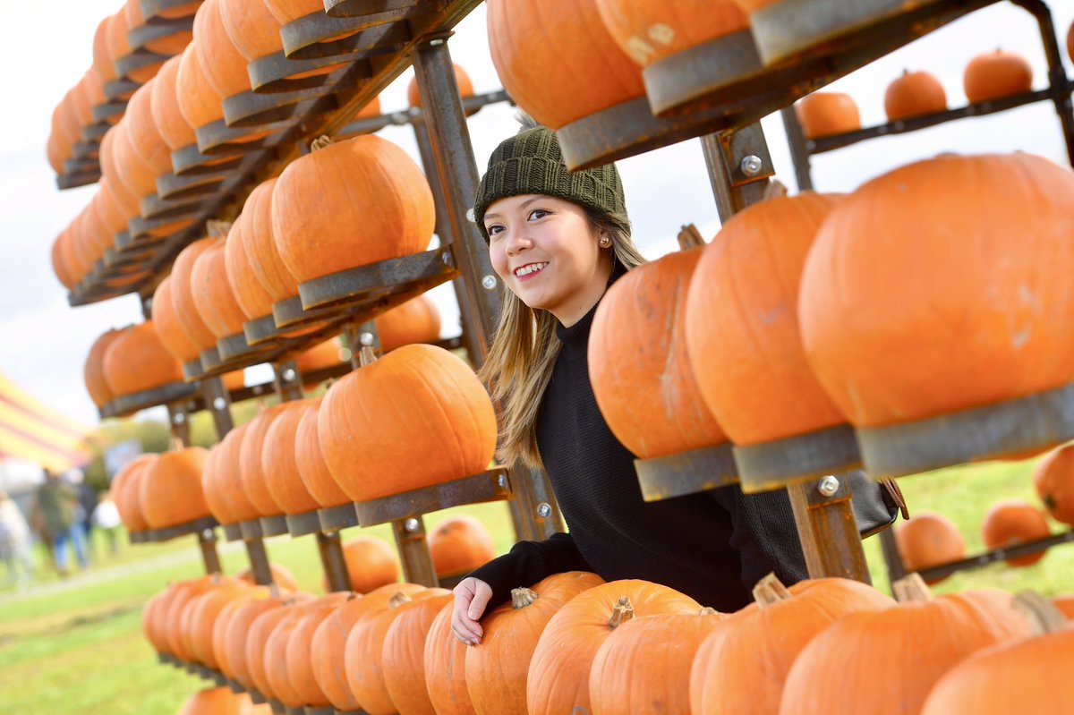 Alex Hannam tweet media