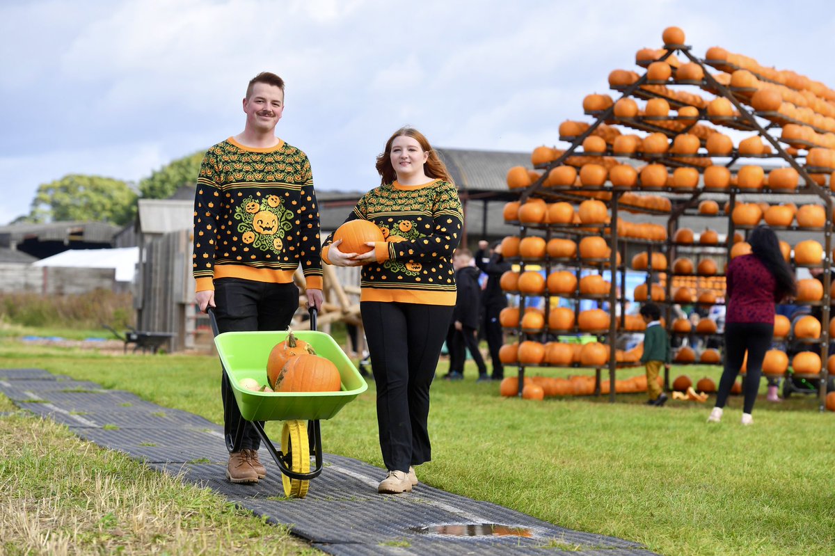 Alex Hannam tweet media